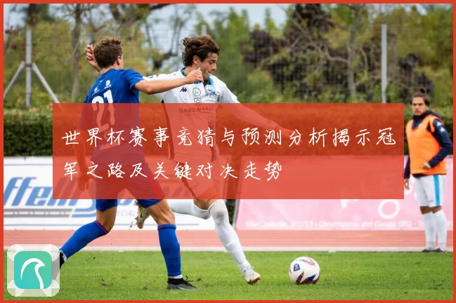 世界杯赛事竞猜与预测分析揭示冠军之路及关键对决走势